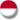 Country Network Indonesia