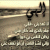 mmaa1972 profile picture